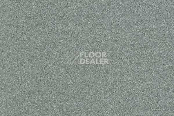 Ковровая плитка Interface Heuga 725 672502 Platin фото 1 | FLOORDEALER